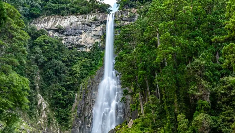 和歌山美食