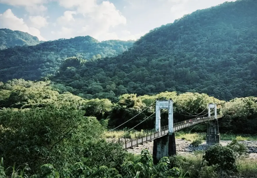 新竹森林秘境全攻略：三条特色步道、交通路線與私房拍照點