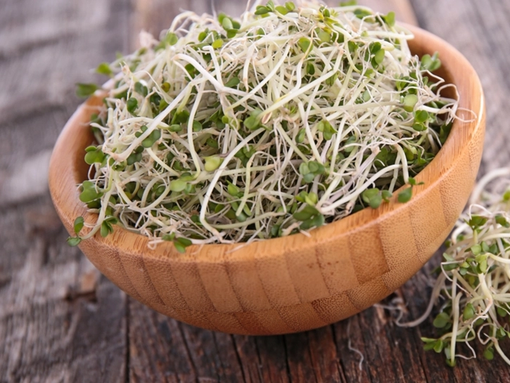 青花苗營養全解析：從種植到食用的完整指南