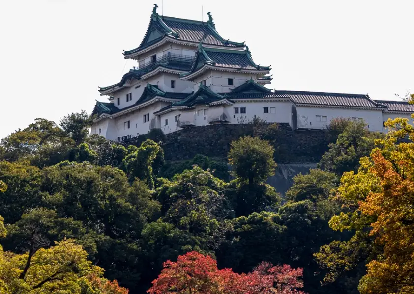 和歌山城楓葉賞楓攻略：關西秘境紅葉與古城交織的絕景