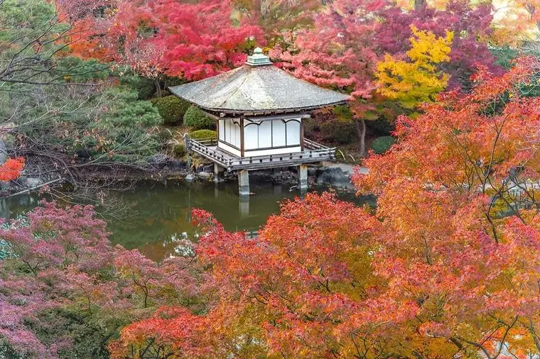 和歌山城紅葉