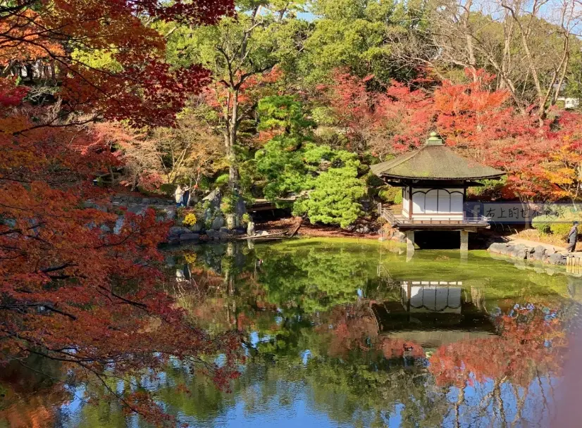 和歌山城紅葉