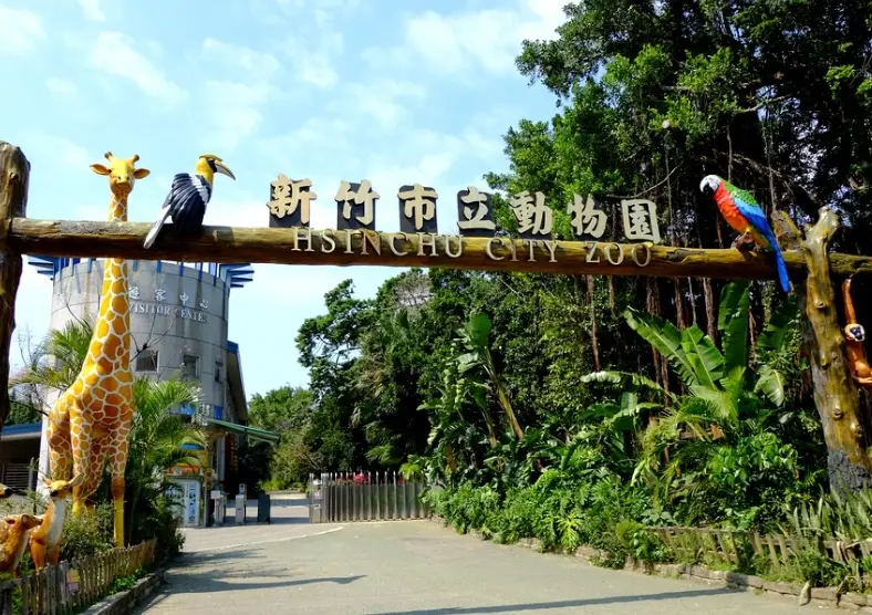 新竹免費親子景點全攻略：省錢放電這樣玩！