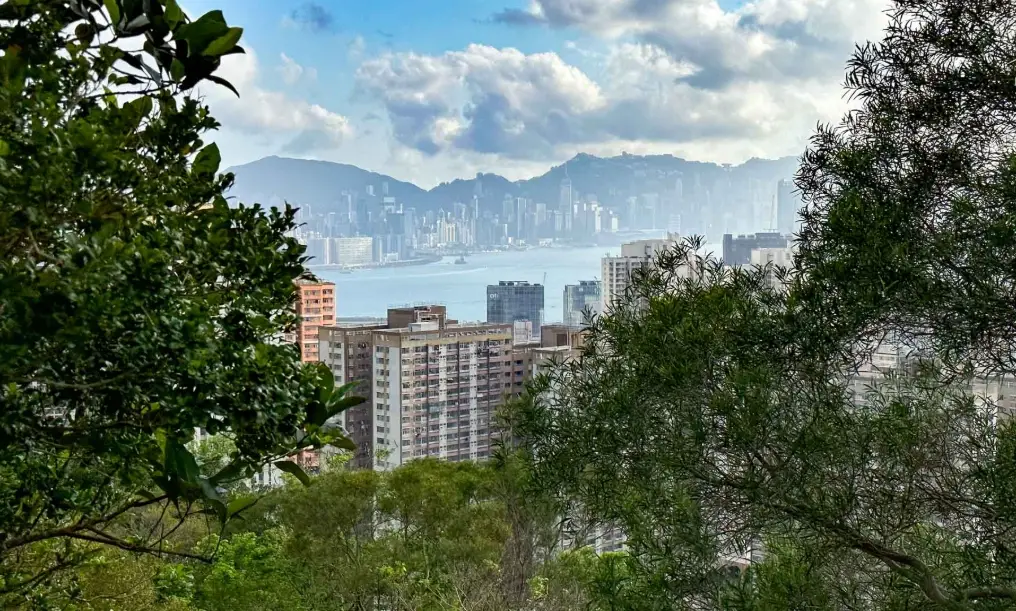 市區行山新手攻略：台北5條親山路線，輕鬆享受城市綠意