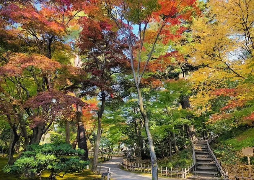 兼六園交通
