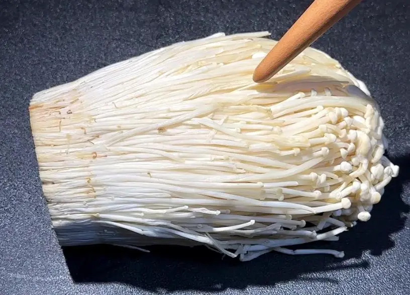 金針菇功效