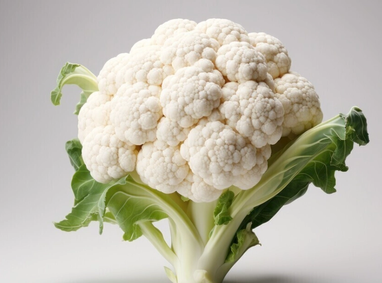 素食蛋白來源