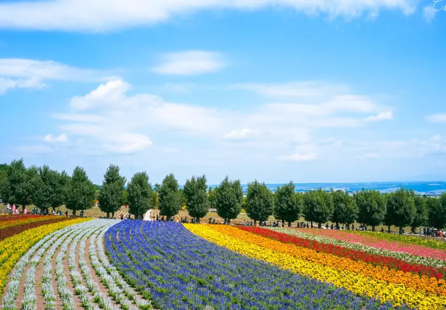 北海道自駕