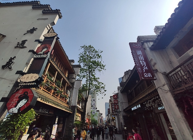 雲林一日遊