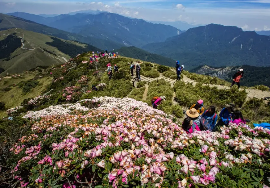合歡山登山許可 合歡山登山許可