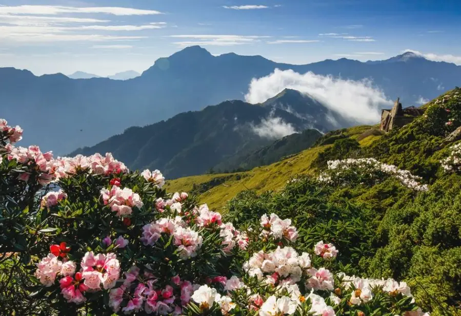 合歡山登山攻略