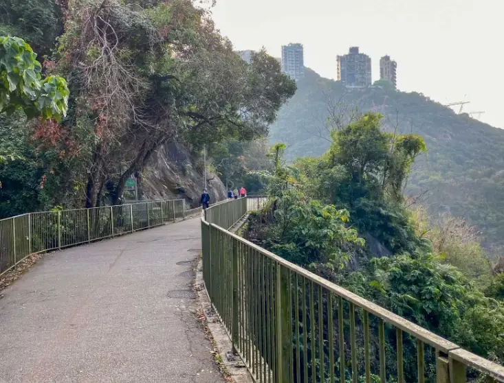 灣仔行上山頂路線：香港市區最經典的徒步路線圖文全攻略