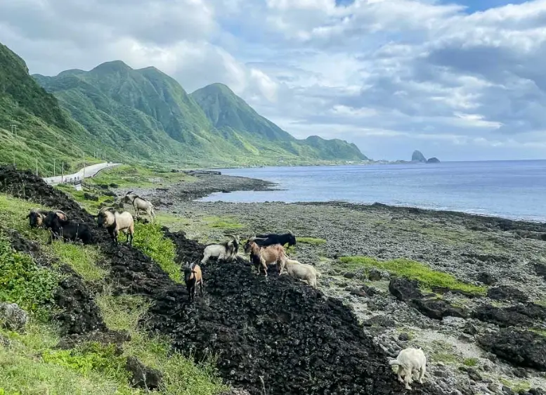 蘭嶼深度旅遊攻略：秘境景點、達悟文化與跳島行程全解析