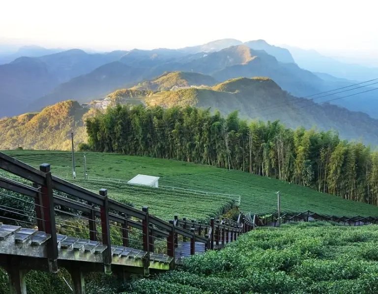 彰化私房景點 彰化私房景點
