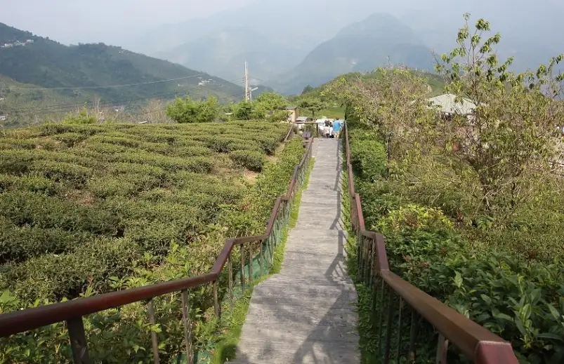 彰化隱藏景點 彰化隱藏景點
