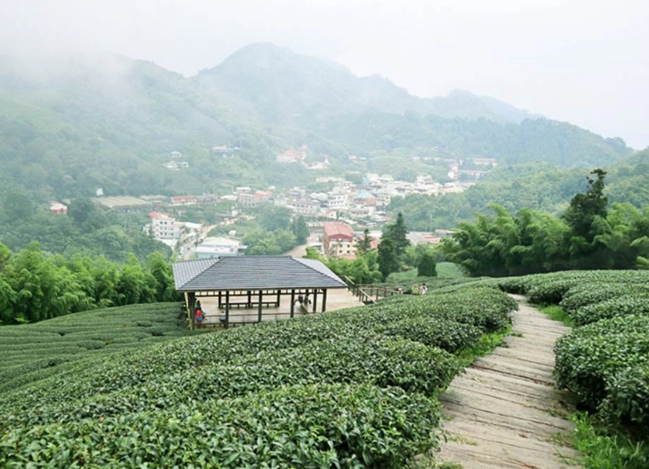 彰化私房景點推薦：避開人潮的隱藏玩法與實用資訊
