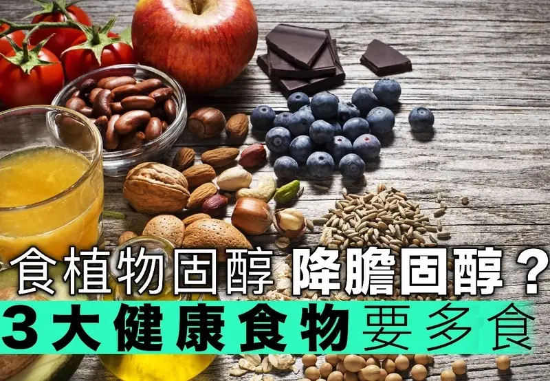 降膽固醇食物清單：天然食材改善血脂健康