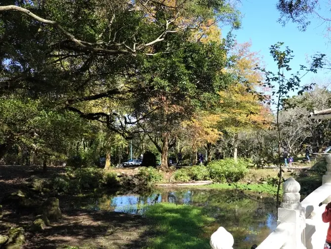 石門水庫免費景點 石門水庫免費景點