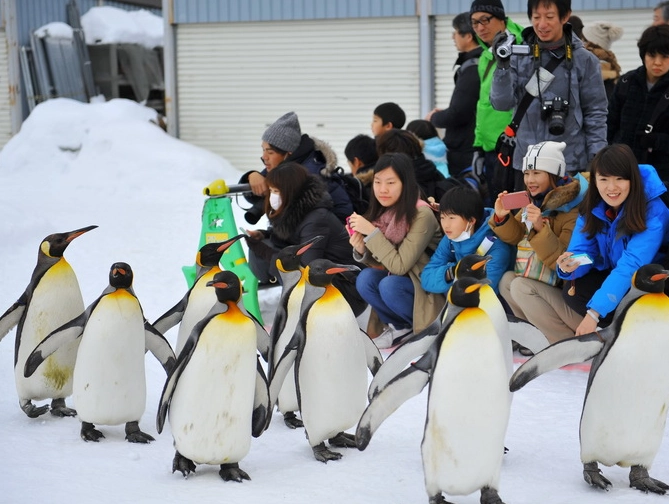 北海道自駕 北海道自駕