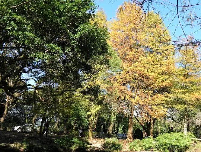 石門水庫溪洲公園