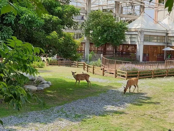 鹿港熊主題公園 鹿港熊主題公園