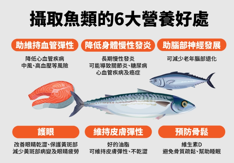 魚類營養排名 魚類營養排名