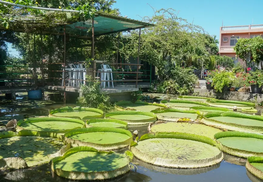 桃園親子景點 桃園親子景點