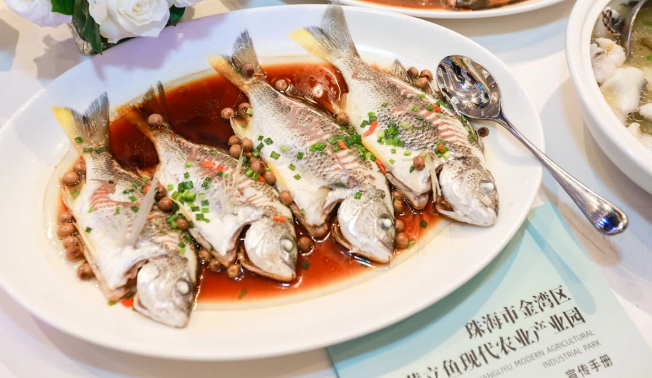 Omega-3 含量最高的魚 Omega-3 含量最高的魚