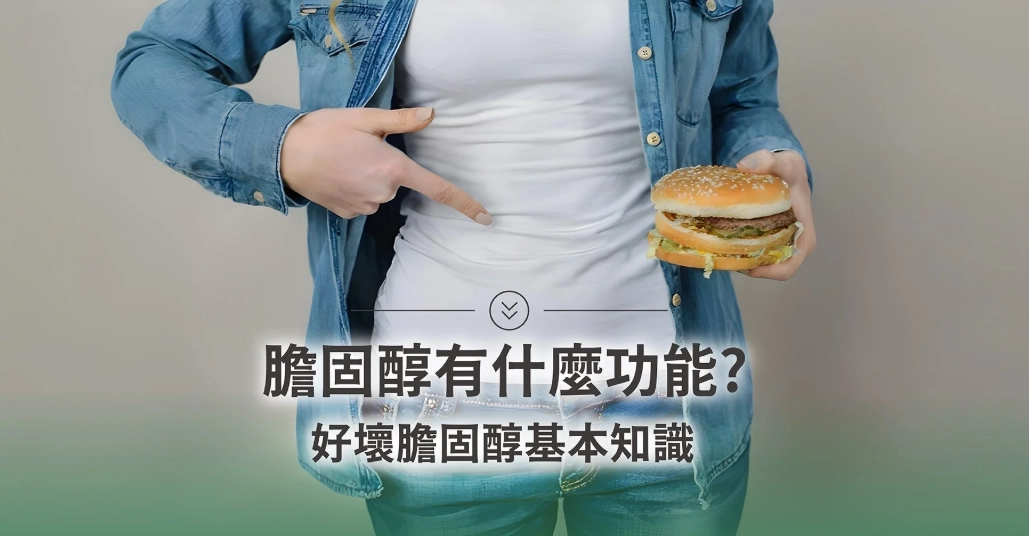 降膽固醇運動 降膽固醇運動