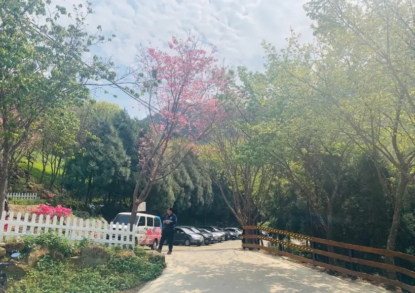 桃園戶外景點：12條從市區到北橫的路線，門票、交通、停留時間實測