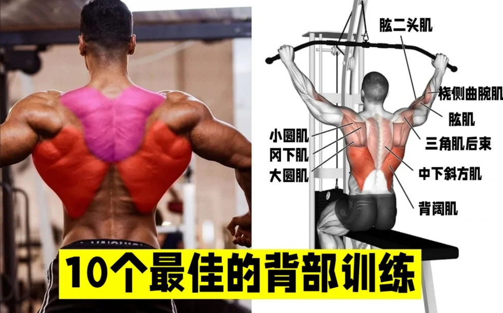 居家背部訓練 居家背部訓練