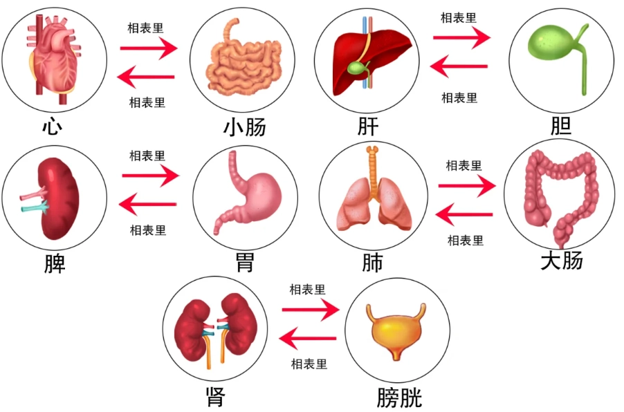 肝血不足症狀 肝血不足症狀