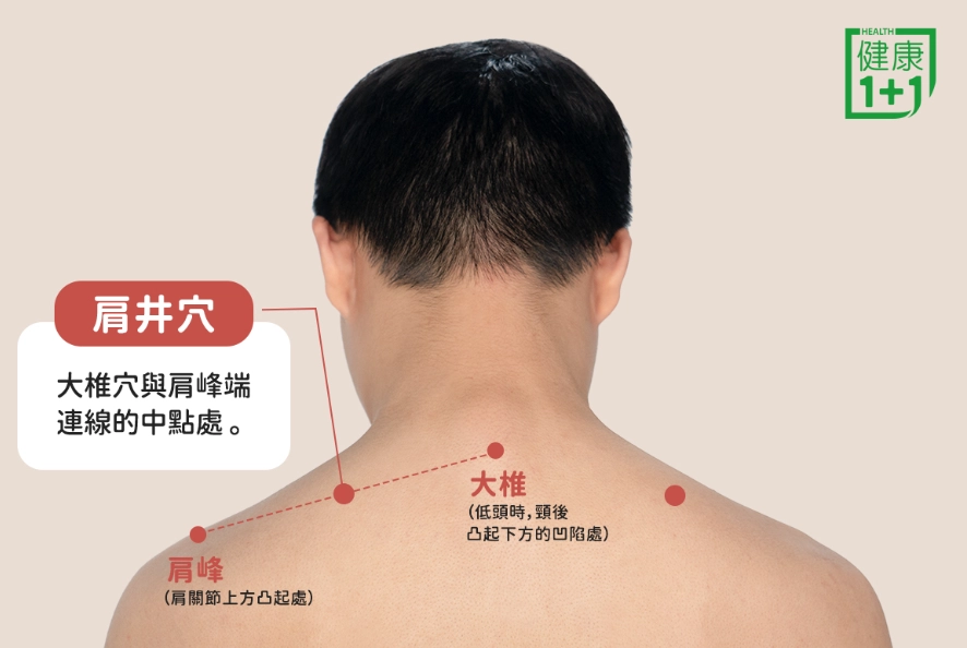 頸動脈竇 頸動脈竇