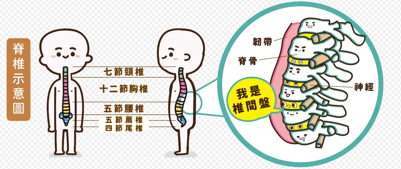 下背痛睡姿 下背痛睡姿
