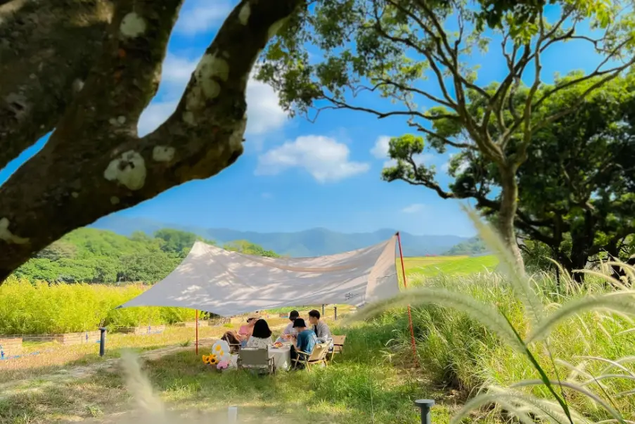 仙山露營區 仙山露營區