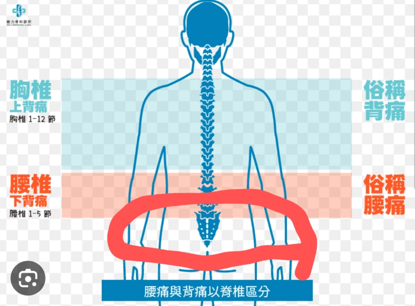 下背痛睡姿 下背痛睡姿