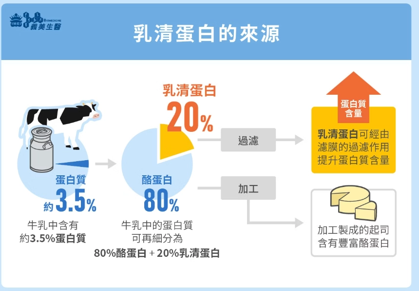 乳清蛋白種類 乳清蛋白種類