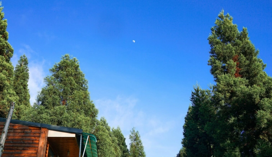 拉拉山雲山房住宿心得：訂房時機、房型與交通安排