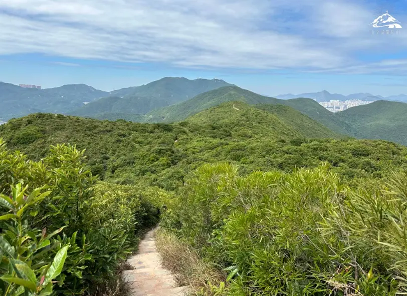 港島行山龍脊：搭9號巴士從土地灣出發，路線時間、裝備與撤退點整理