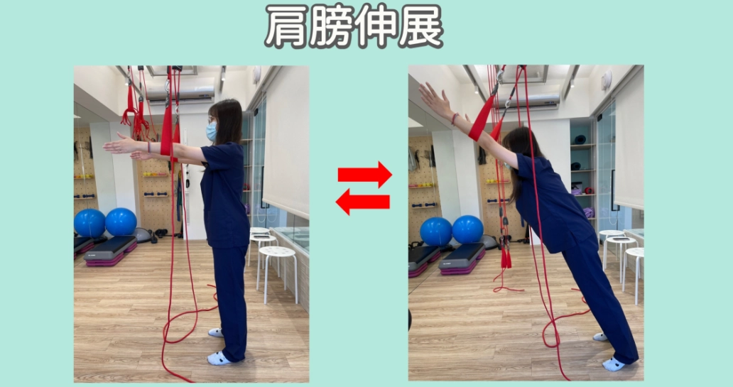 胸椎活動度 胸椎活動度