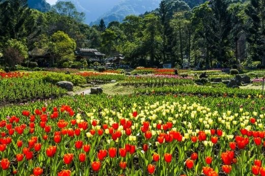桃園親子景點農場
