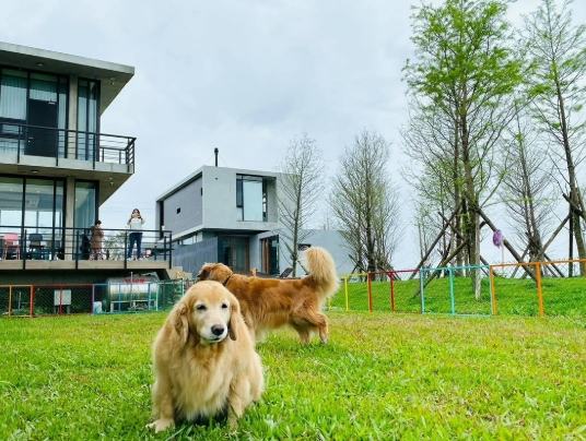 台中寵物友善民宿 台中寵物友善民宿