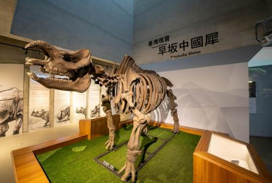 台南親子景點室內 台南親子景點室內