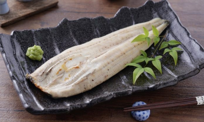 鰻魚料理