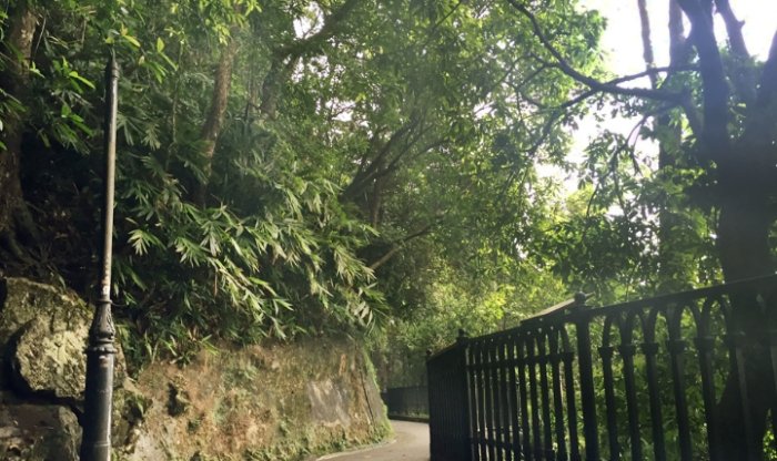 盧吉道觀景台 盧吉道觀景台