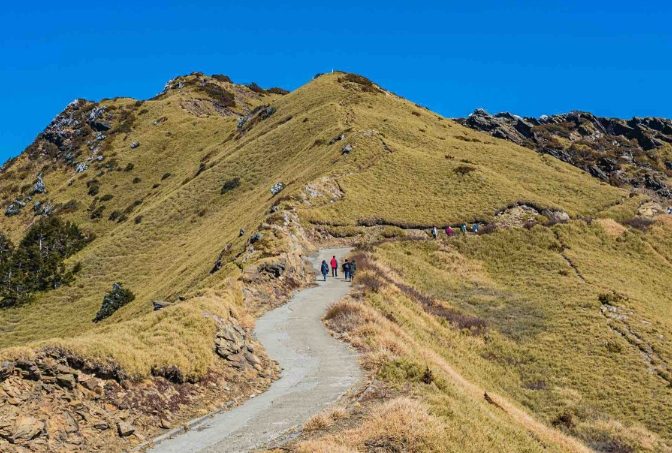 合歡山主峰步道