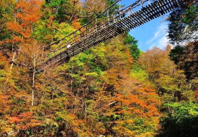 祖谷藤蔓橋