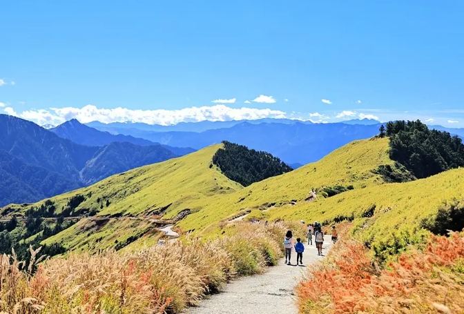 合歡山主峰步道