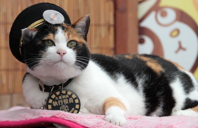 和歌山親子旅遊 和歌山親子旅遊