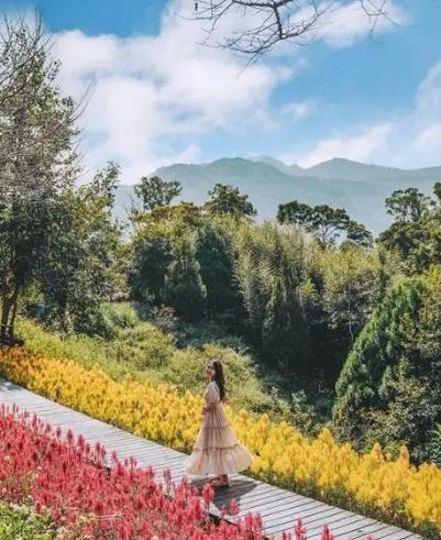 新竹咖啡廳景觀